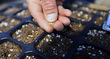 Cumhuriyet'in 100. yılında 1 Milyon yerel tohum dağıtılacak