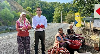 Daldan sofraya ekşi yolculuk