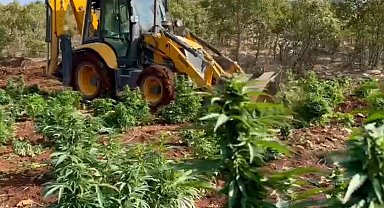 Diyarbakır'da 403 kilo esrar ve 423 bin esrar bitkisi ele geçirildi