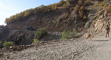 Diyarbakır'da 5 taburdan oluşan timler Lice'de terör operasyonuna çıktı