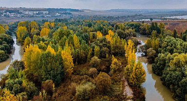 Diyarbakır'da UNESCO'nun gözbebeği sonbaharda eşsiz manzarayı sergiliyor