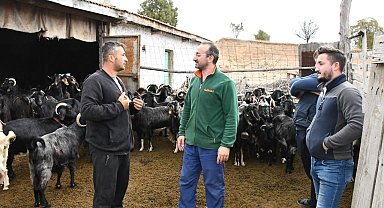 Emet Belediyesinin keçi peyniri projesinde üretici sayısı artıyor