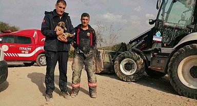 Enkaz altında kalan köpek kurtarıldı