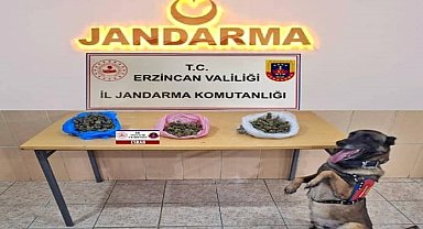 Erzincan'da jandarma ekipleri suça geçit vermiyor