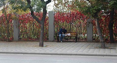 Eskişehir'de renkli yaprakların uyumlu görüntüsü dikkat çekiyor
