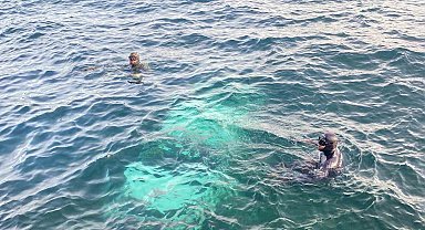 Hafif ticari araç denize uçtu, sürücüyü balıkçılar kurtardı