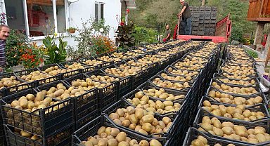 Hobi için başlandı: Yıllık getirisi 100 milyon TL