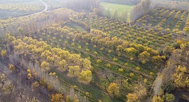 Iğdır'da sonbaharın son demleri göz kamaştırdı