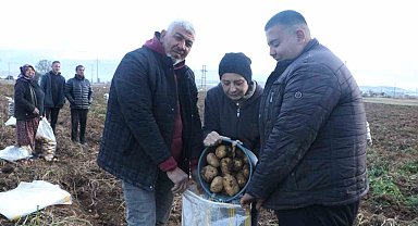İkinci dönem ekimi yapılan patateste hasat döneminin sonuna gelindi