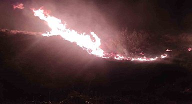 İzmir'de makilik alanda çıkan yangın kontrol altında