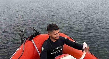 İzmit Körfezi'nde mahsur kalan yaralı flamingoyu Kocaeli İtfaiyesi kurtardı