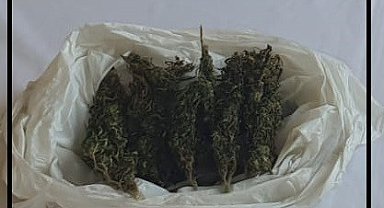 Jandarma uyuşturucuya geçit vermiyor