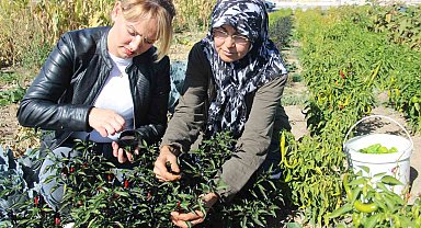 Kadınlar topraktan sofraya üretim yapıyor