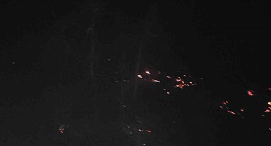 Kastamonu'da köy mezarlığında çıkan yangına itfaiye ekipleri müdahale ediyor