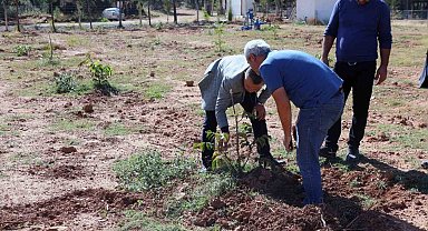 Kavaklıdere'de Ceviz ve Badem deneme bahçesi