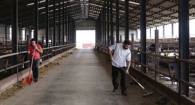 Kendi kendine yeten çiftlik kurdular, ucuz etin formülünü buldular