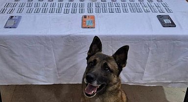 Kilis'te uyuşturucu operasyonu: 6 gözaltı