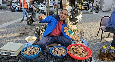 Kırmızı melki sezonu başladı: Kilosu 200 lira