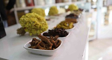 Kış aylarının koruyucu kalkanı "kış çayı" kaynamaya başladı