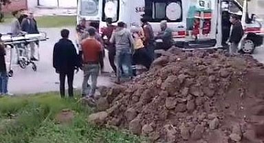 Kozalak toplamak için çıktığı ağaçta akıma kapılan genç hayatını kaybetti