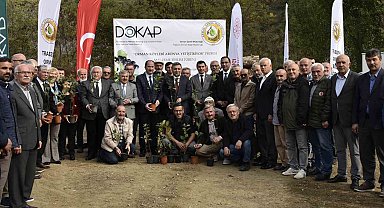 Kürtün süper meyve "Aronya" ile kalkınacak