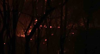 Marmaris'te çıkan orman yangını kısa sürede kontrol altına alındı