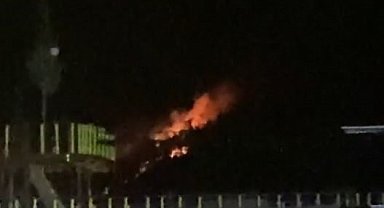 Marmaris'te orman yangını