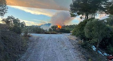 Milas'taki orman yangını söndürüldü