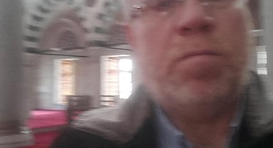 Ormanda kesim yaparken üzerine ağaç devrilen şahıs hayatını kaybetti