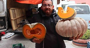 Semt pazarlarının gözdesi kış kabağının tarladan tezgaha yolculuğu başladı