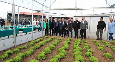 Tarla değil cezaevi