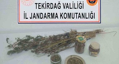 Tekirdağ'da uyuşturucu operasyonu