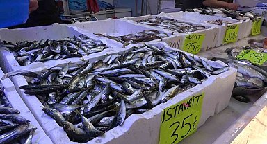 Tezgahlarda balık çeşitliliğinin artmasını bekleyen balıkçıların tek umudu denizlerin soğuması