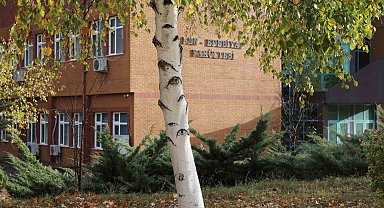 TOGÜ'de gözleri olan ağaç sosyal medya da ilgi odağı oldu