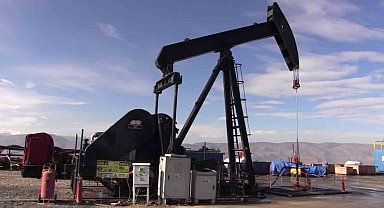 TPAO Siirt'te bulunan 3 sahanın ruhsat sürelerini 2 yıl uzattı