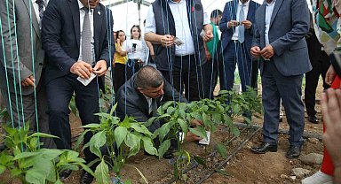 Üreticilerin korkulu rüyasına karşı biyolojik mücadele başladı