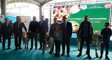 Vali Dallı'dan kadınlara özel çağrı: "Eşlerinizi memleketine geri döndürmek için ikna edin"