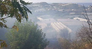 Yakılan sera atıkları yangına sebep oldu