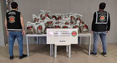 Yalova Ro-Ro Limanı'nda yurda sokulmak istenen 80 kilo uyuşturucu yakalandı