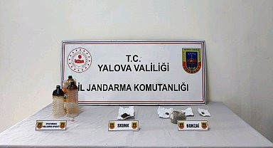 Yalova'da ormanlık alanda uyuşturucu yetiştiren zanlı tutuklandı