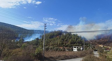 Yatağan'da orman yangını