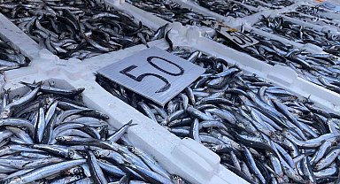 Yerli hamsi düşüşe geçti, vatandaş yoğun ilgi gösterdi