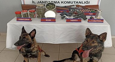 Zonguldak'ta evde uyuşturucu ve ruhsatsız silah operasyonu