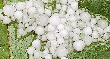 Ardahan'da sağanak ve dolu etkili oldu