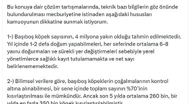 Bakan Yumaklı: Başıboş köpeklerin çoğalmalarının kontrolü, kısırlaştırma ile mümkündür