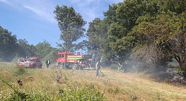 Çanakkale'de tarım arazisinde yangın