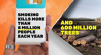 DSÖ: Her yıl 8 milyon insan tütün kullanımından hayatını kaybediyor