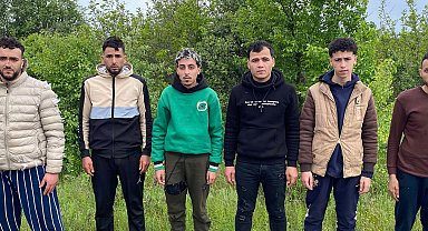 Edirne'de 6 kaçak göçmen yakalandı