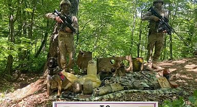 Elazığ'da teröristlerin kullandığı sığınak imha edildi