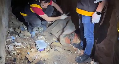 Evinde 2, bahçesinde gömülü 2 silah bulundu; 'İçki içmeye gelenler koymuş olabilir' dedi